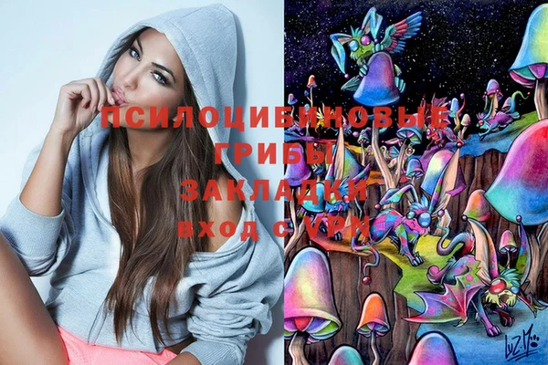 твердый Алзамай