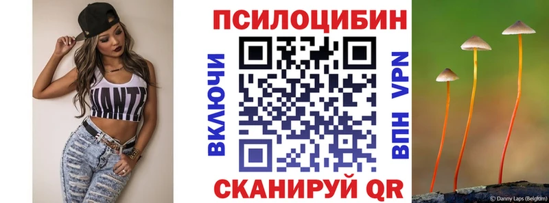 хочу   Кизел  MEGA ссылки  Псилоцибиновые грибы Psilocybine cubensis 